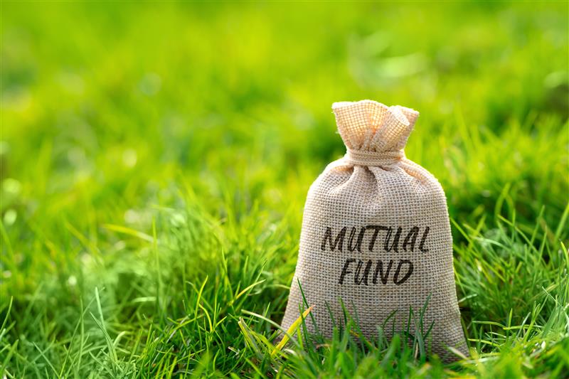 How to choose  the Best Mutual Fund