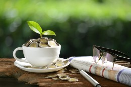 The Impact of Fees on Mutual Fund Investment Returns