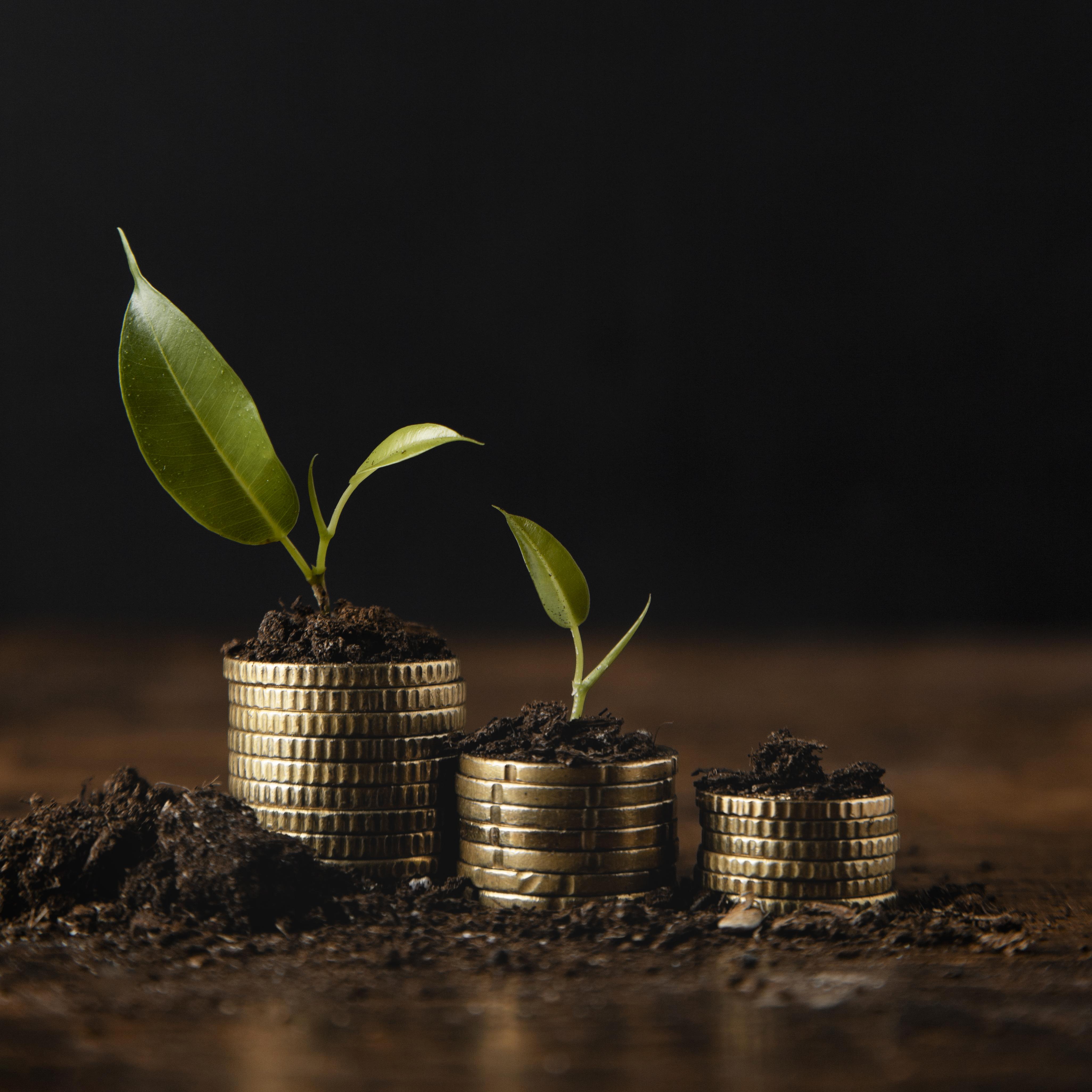 History Of Mutual Funds